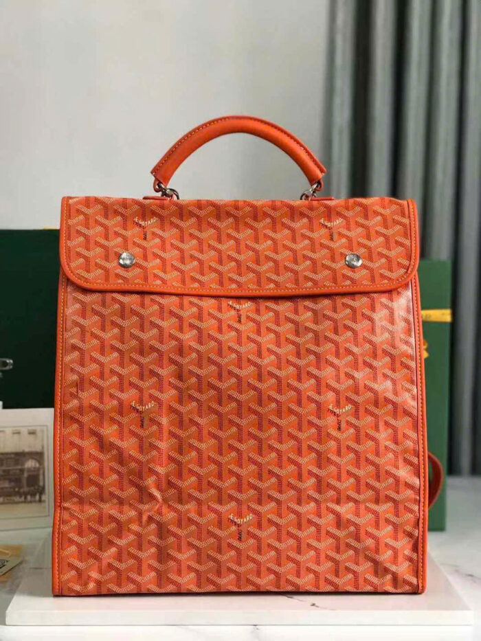 Goyard Saint Léger Goyardine